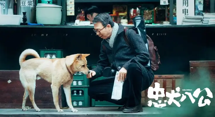 豆瓣怎么解决地区限制问题指南